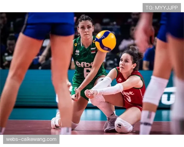 斯图加特锋线告急德米洛维奇脚部骨裂预计休战八周影响球队攻势